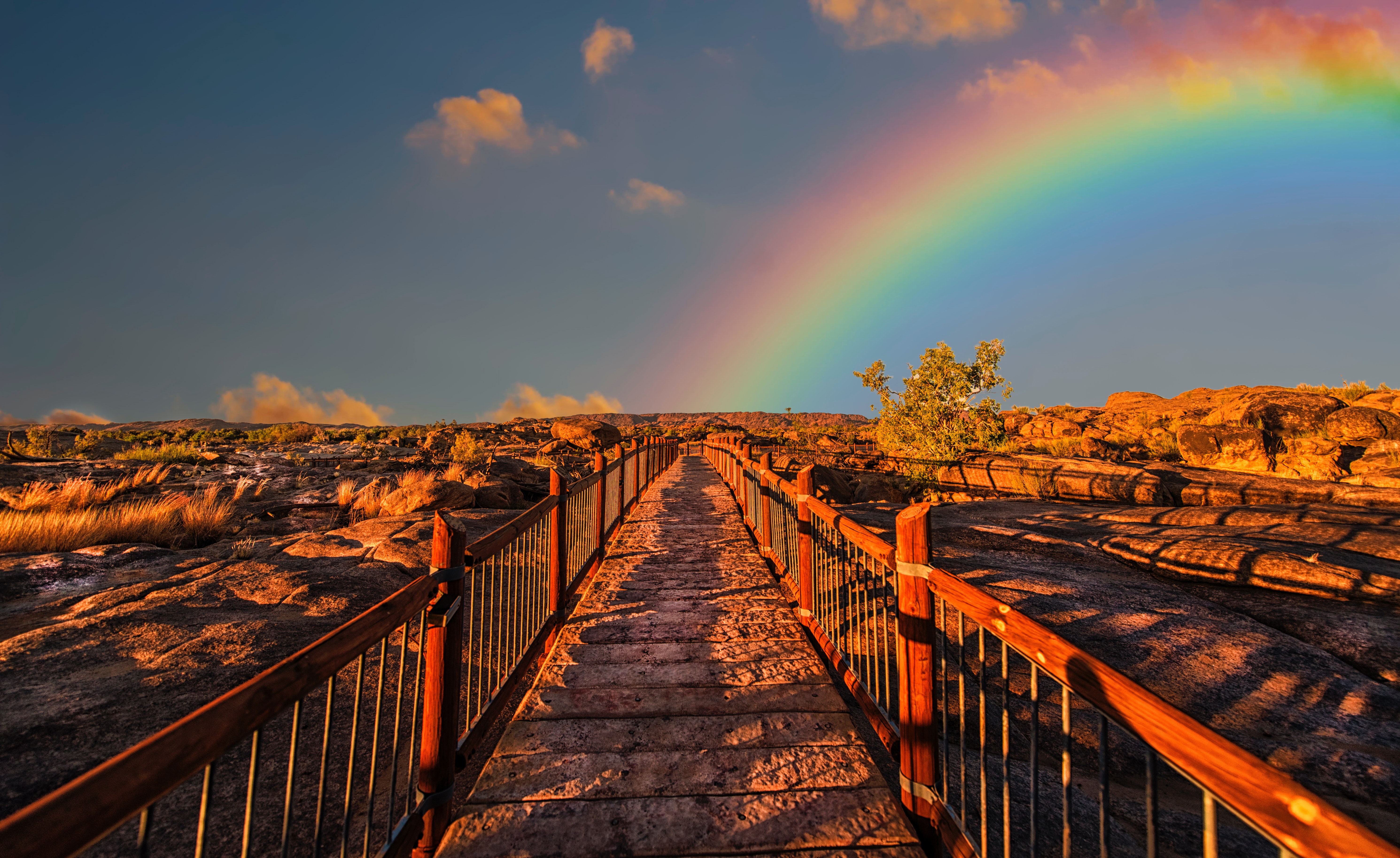 colorful-colourful-outdoors-830829.jpg
