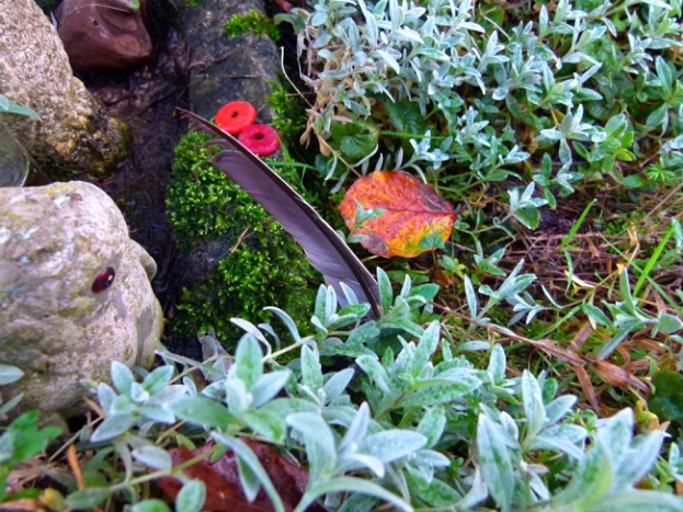 A feather lying on the landscape next to a couple red tokens