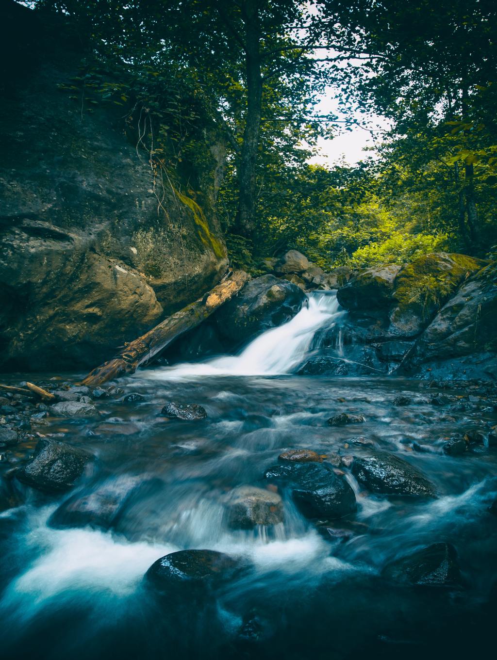 photo of a water gorge close up