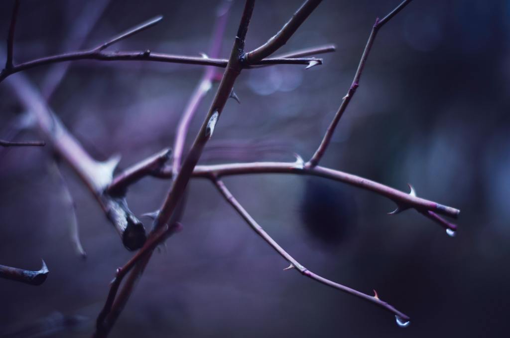 Dormant