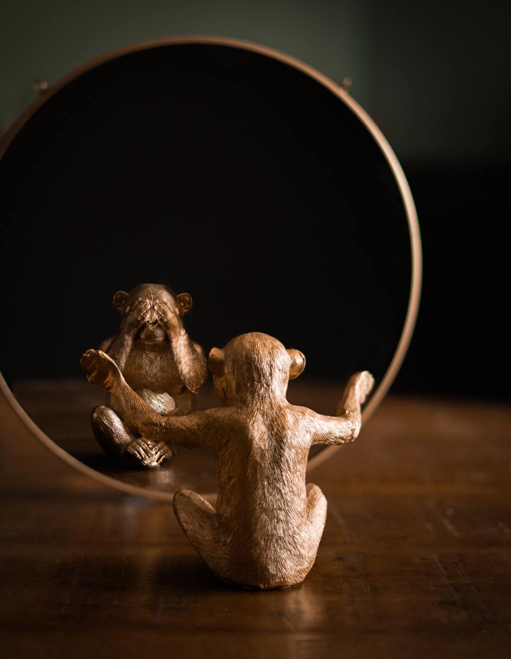 Decorative statuette in form of monkey reflecting in mirror