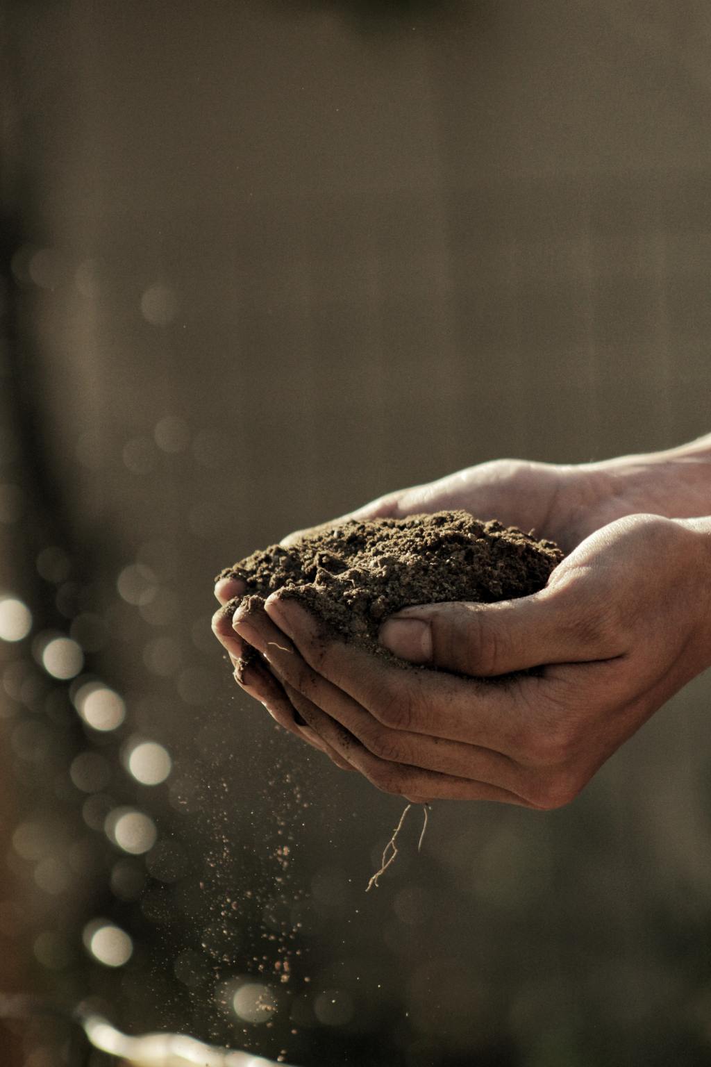 The Dirt Amends.&nbsp;#Poetry