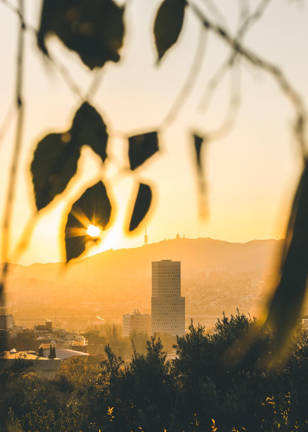 Locked In On Sunshine&nbsp;#Poetry