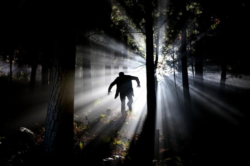 man running backlit in forest