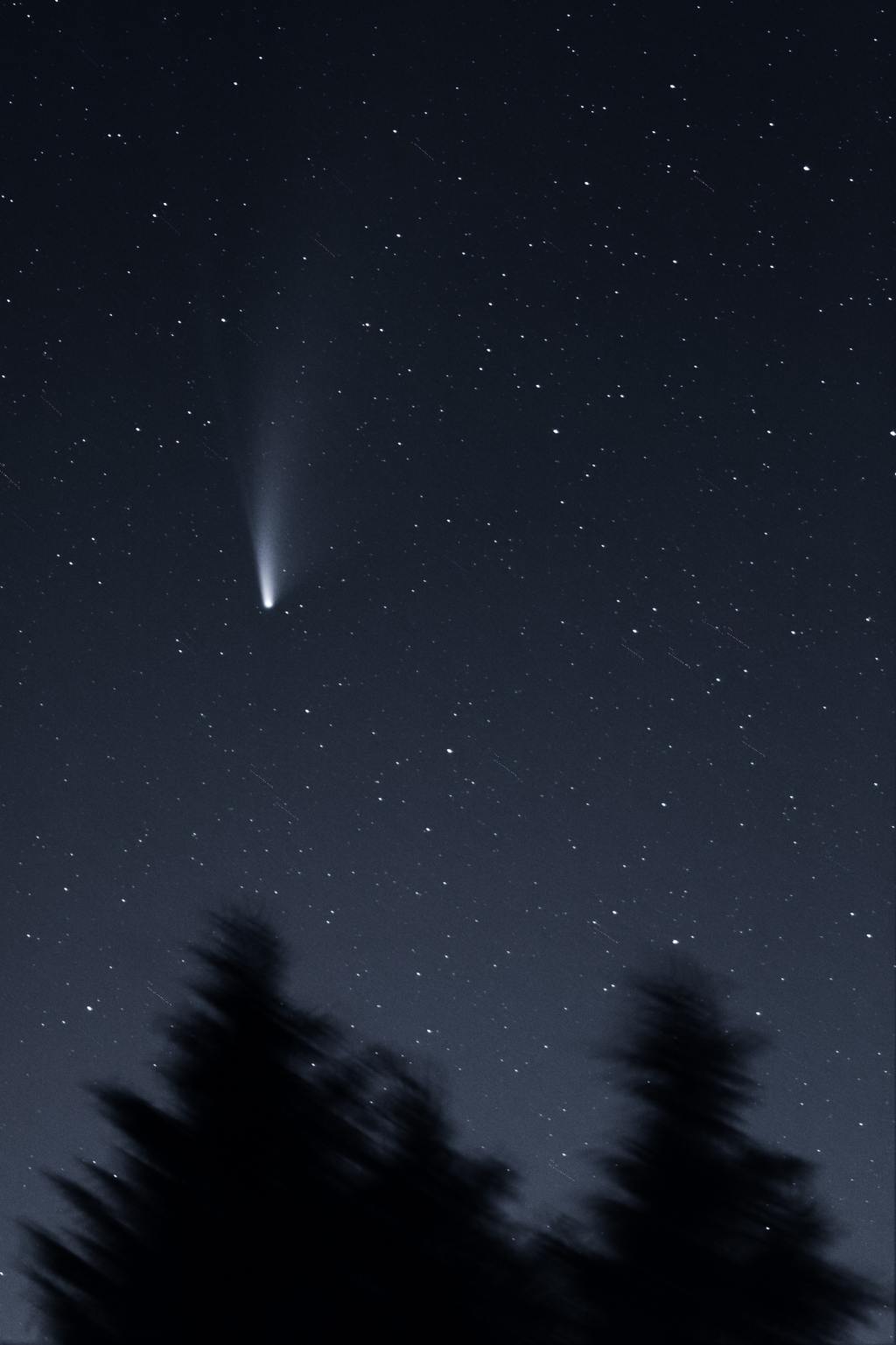 shooting star in the night