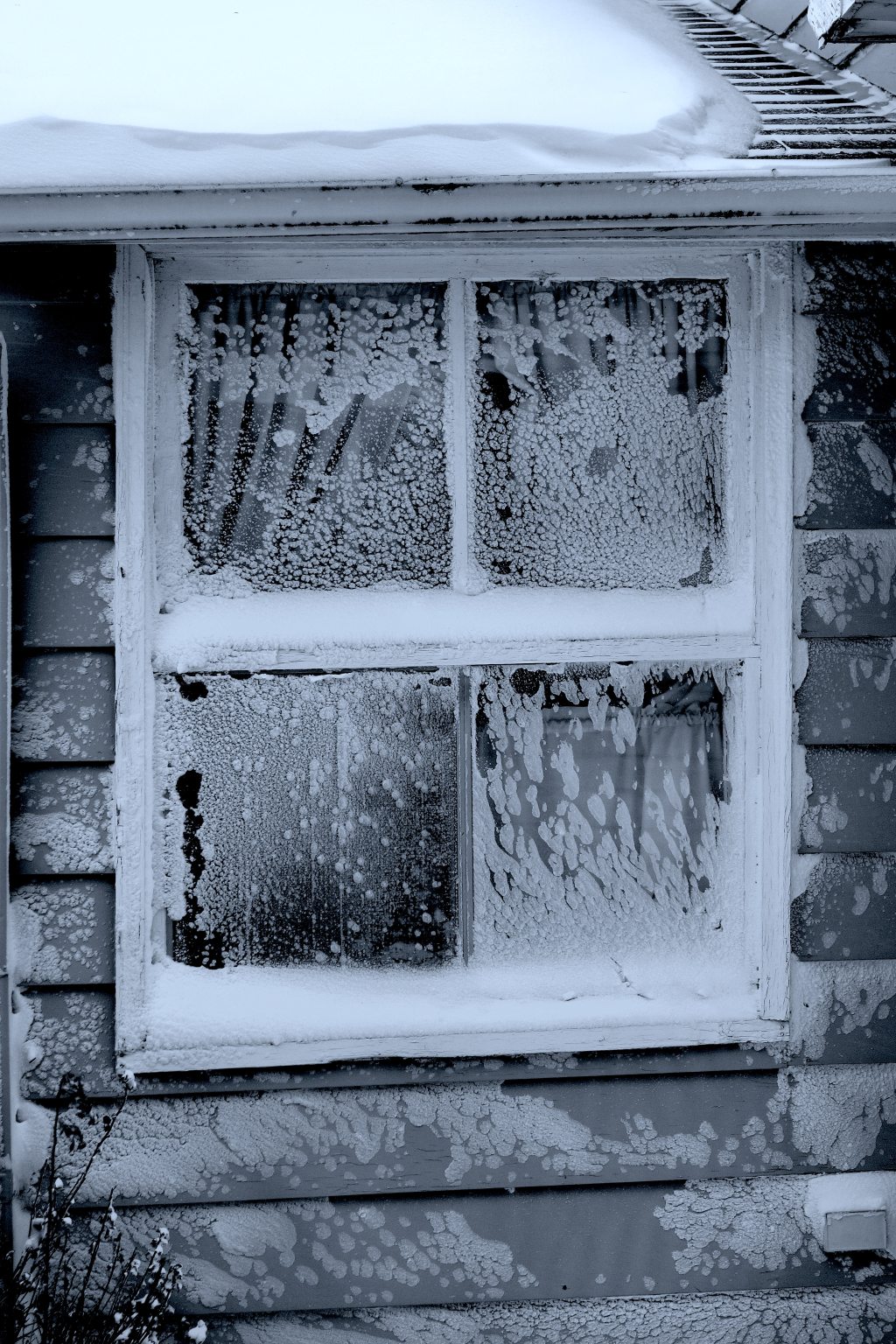 Icy Window
